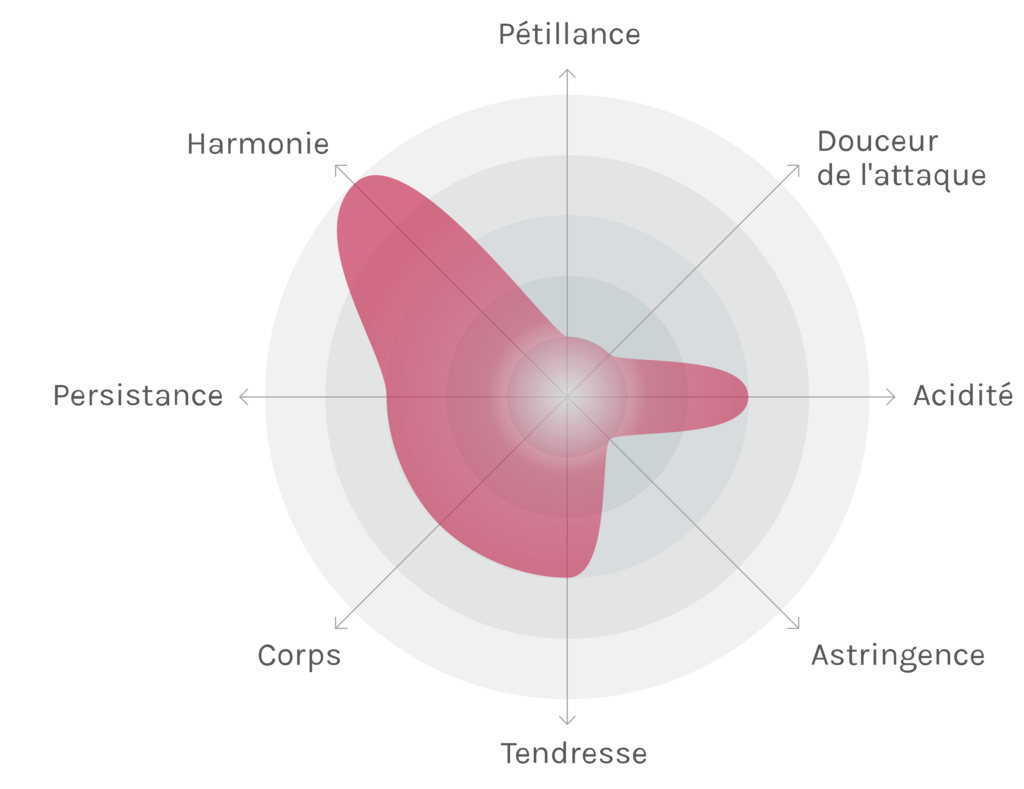 Spinnennetz-Chart