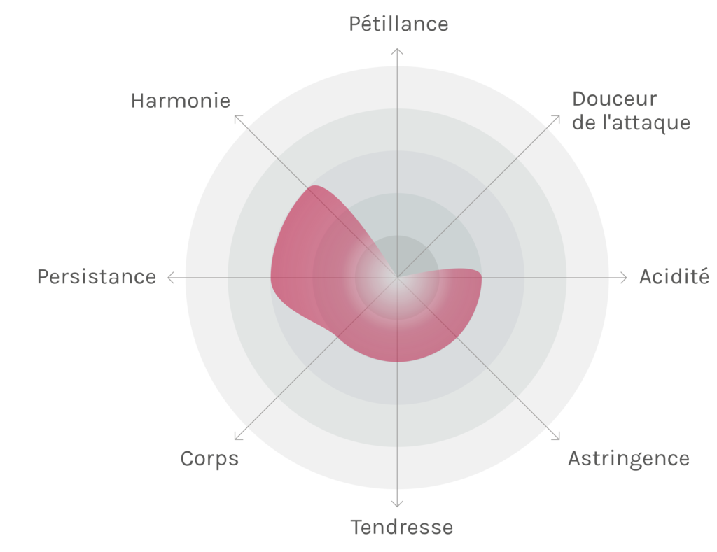 Spinnennetz-Chart