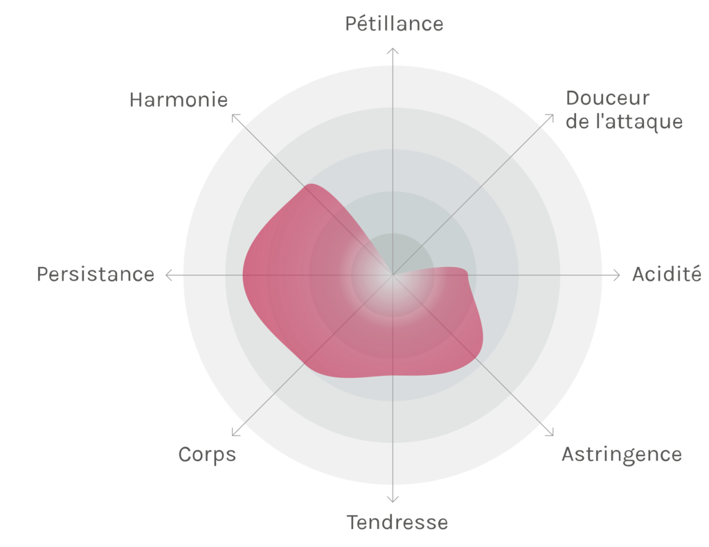 Spinnennetz-Chart