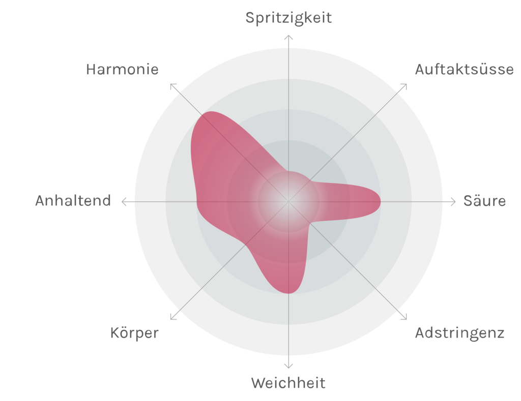 Spinnennetz-Chart