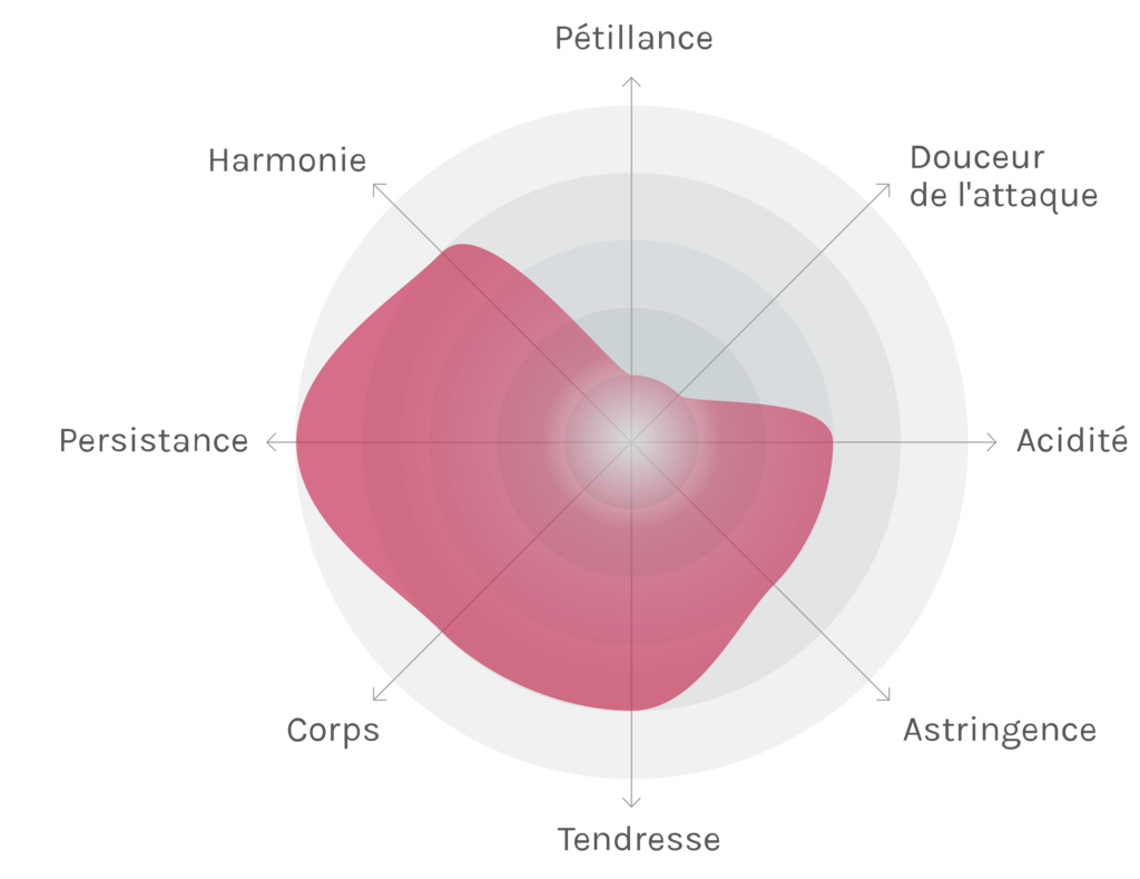 Spinnennetz-Chart