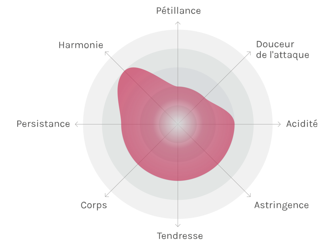 Spinnennetz-Chart