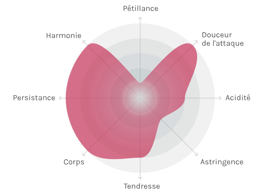 Spinnennetz-Chart