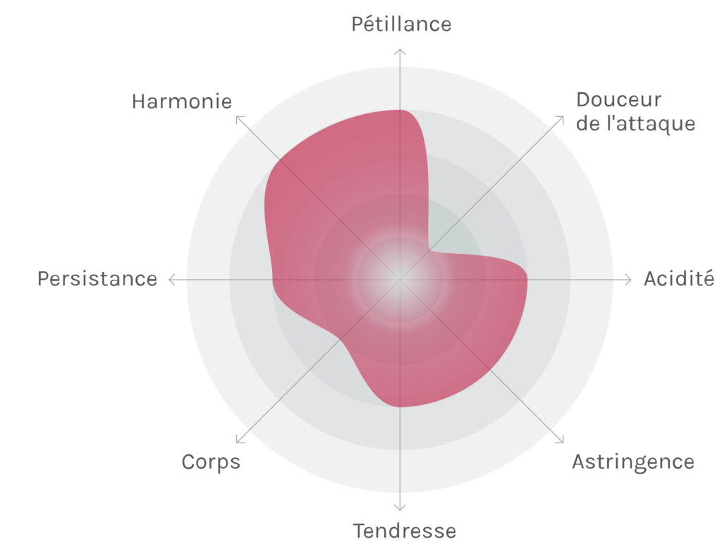 Spinnennetz-Chart