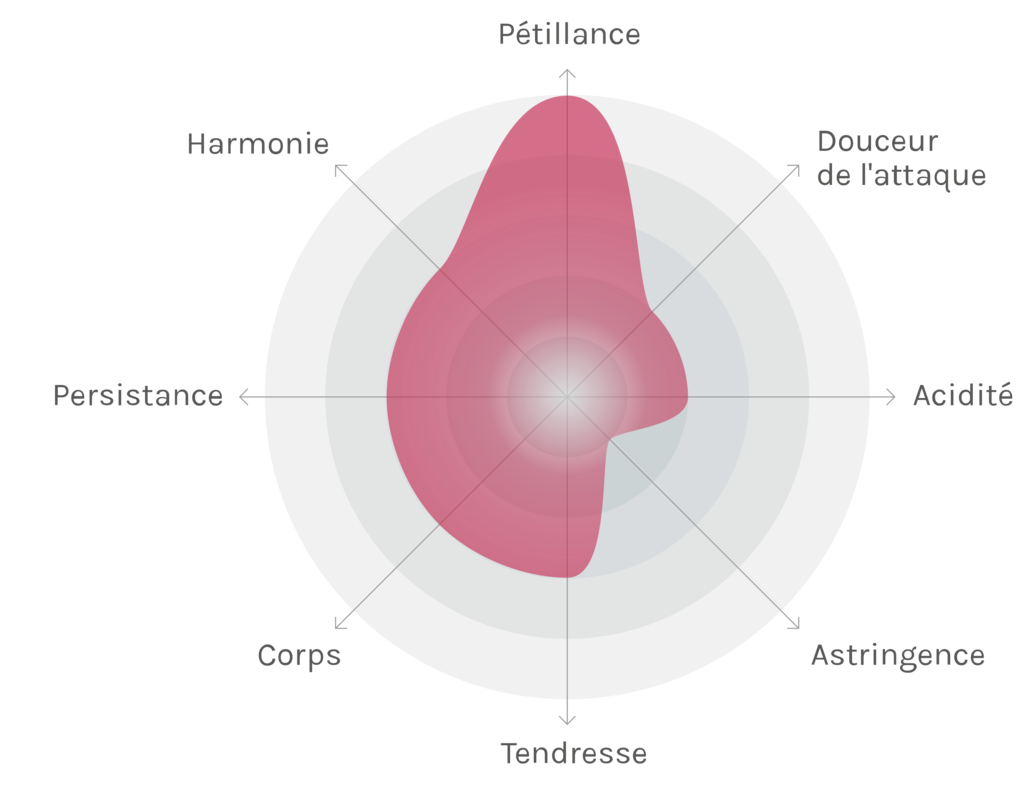 Spinnennetz-Chart