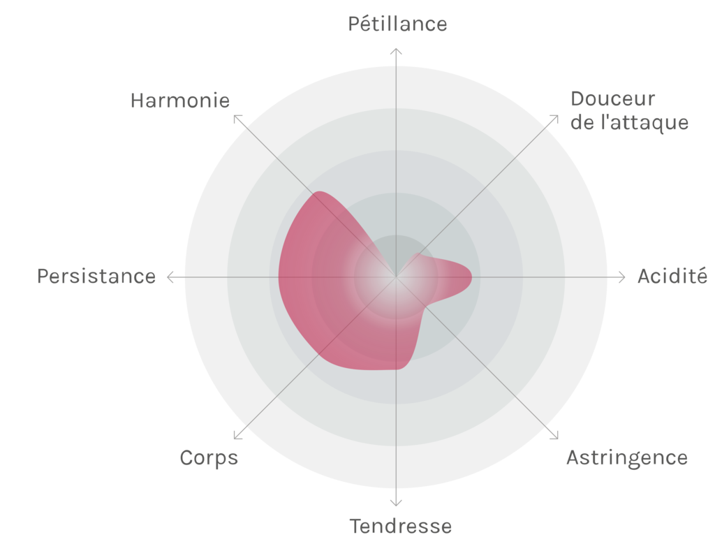 Spinnennetz-Chart