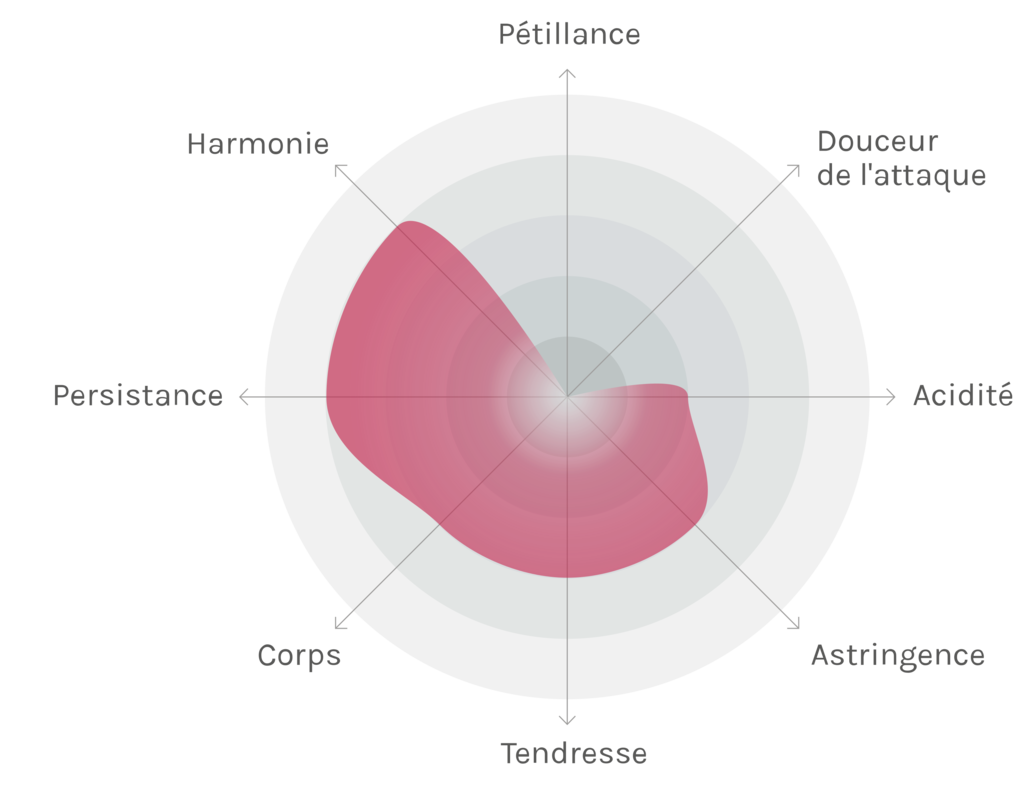 Spinnennetz-Chart