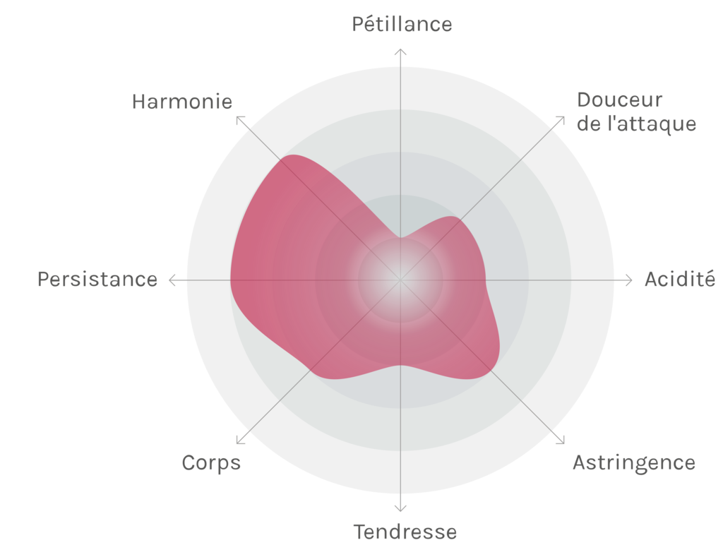 Spinnennetz-Chart