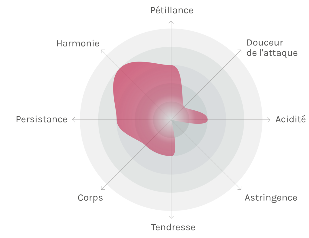 Spinnennetz-Chart