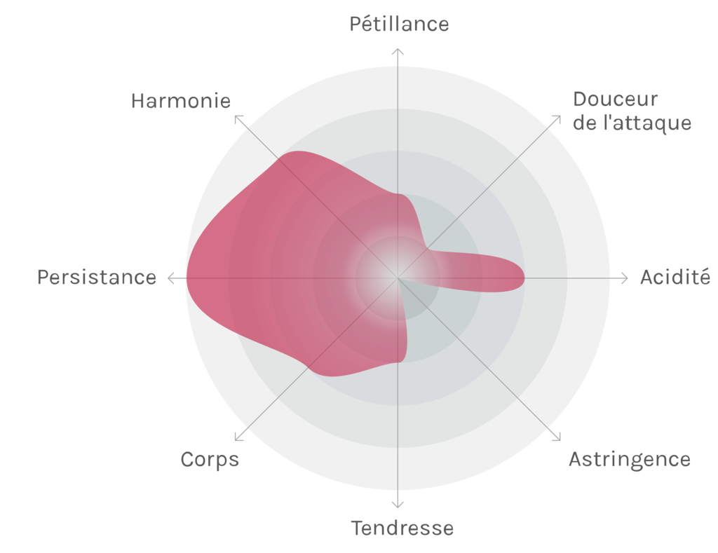 Spinnennetz-Chart