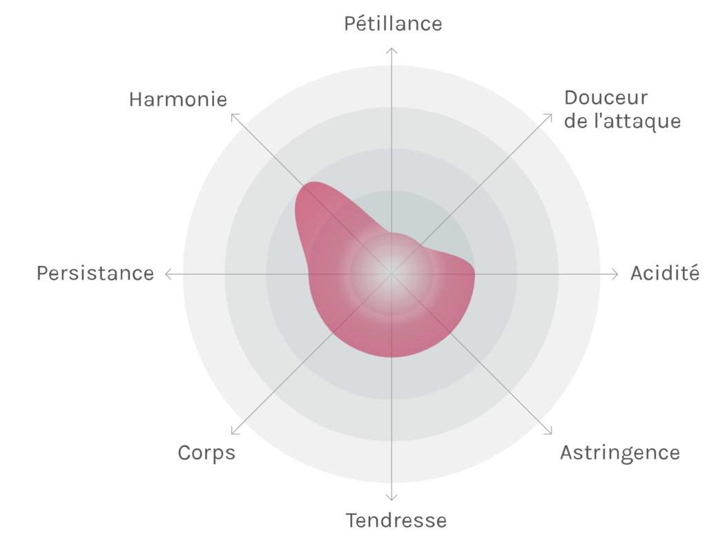 Spinnennetz-Chart