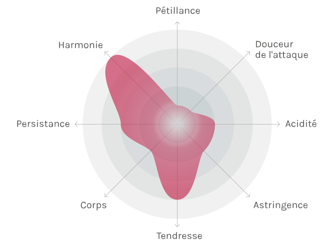 Spinnennetz-Chart