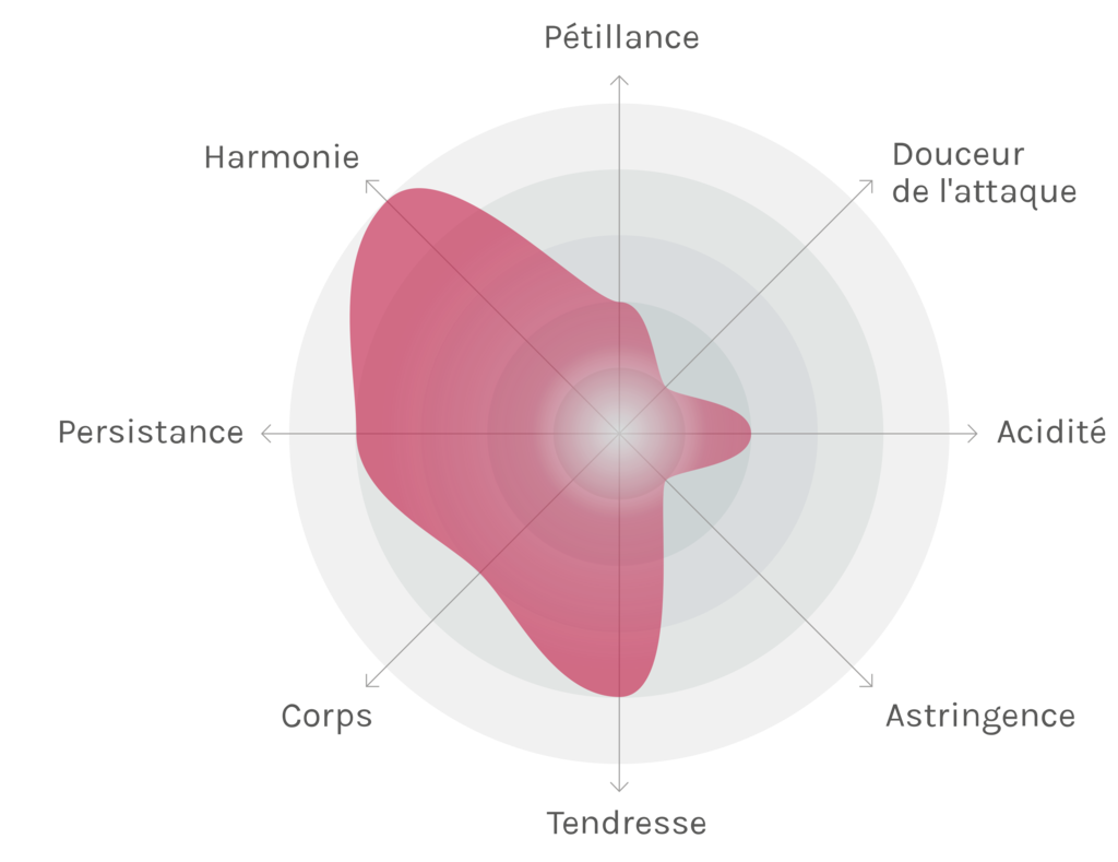 Spinnennetz-Chart