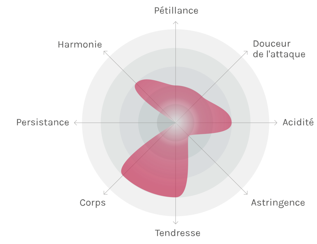 Spinnennetz-Chart