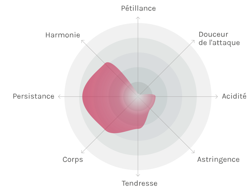 Spinnennetz-Chart