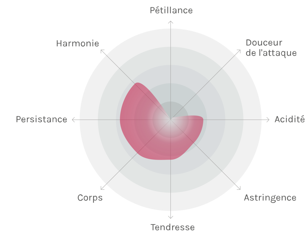 Spinnennetz-Chart