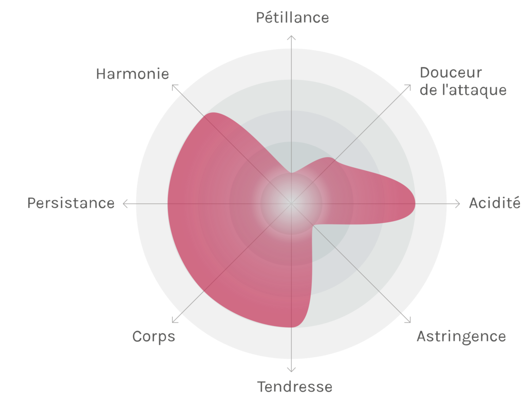 Spinnennetz-Chart