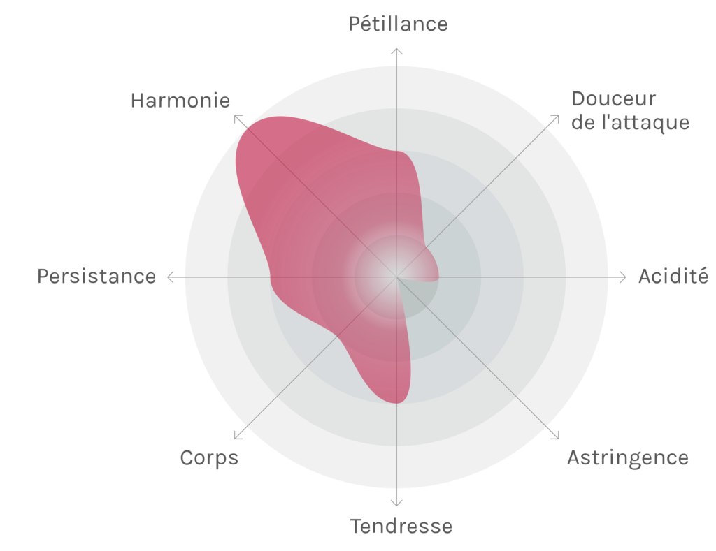 Spinnennetz-Chart