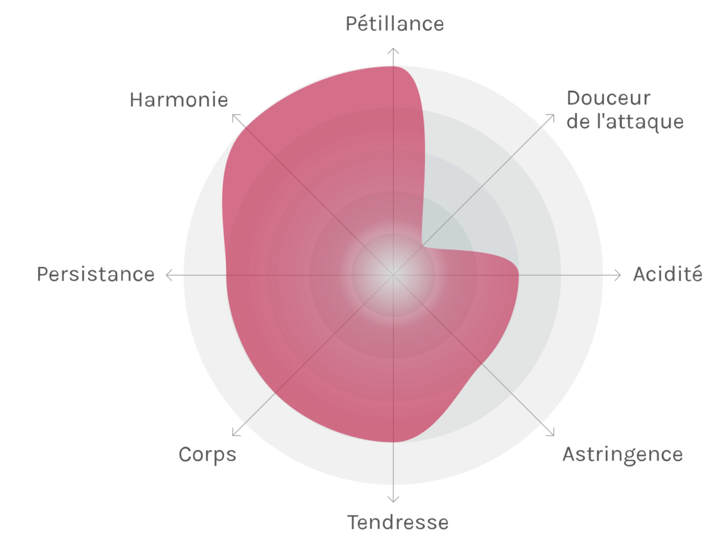 Spinnennetz-Chart