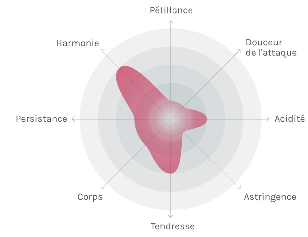 Spinnennetz-Chart