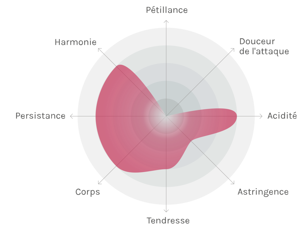 Spinnennetz-Chart