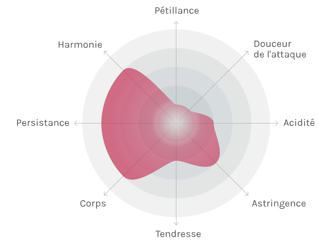 Spinnennetz-Chart