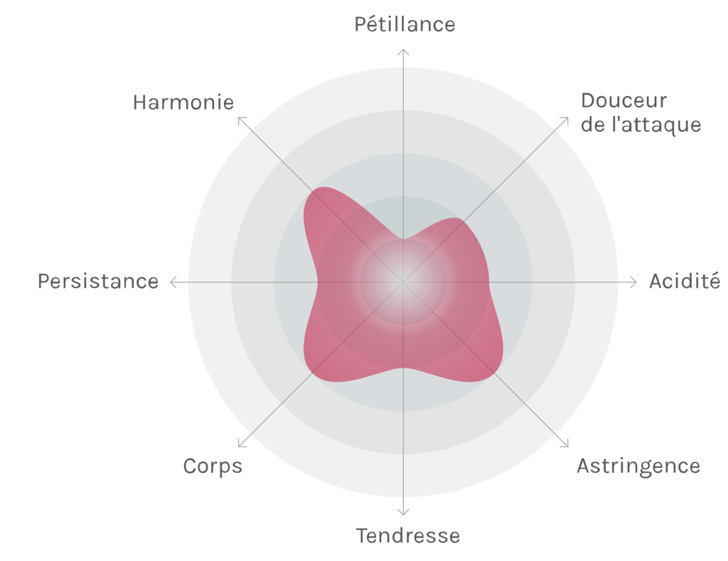 Spinnennetz-Chart