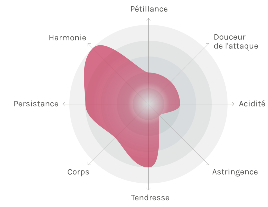 Spinnennetz-Chart