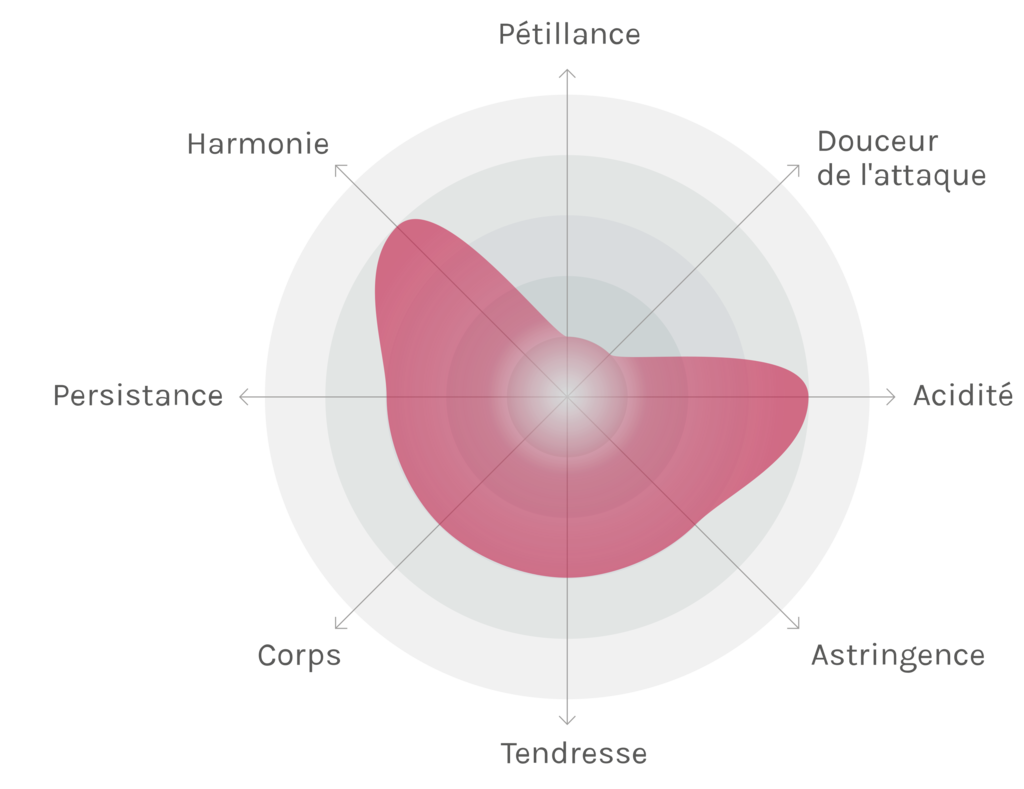 Spinnennetz-Chart