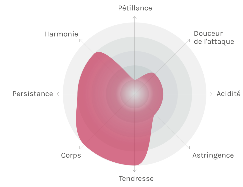 Spinnennetz-Chart