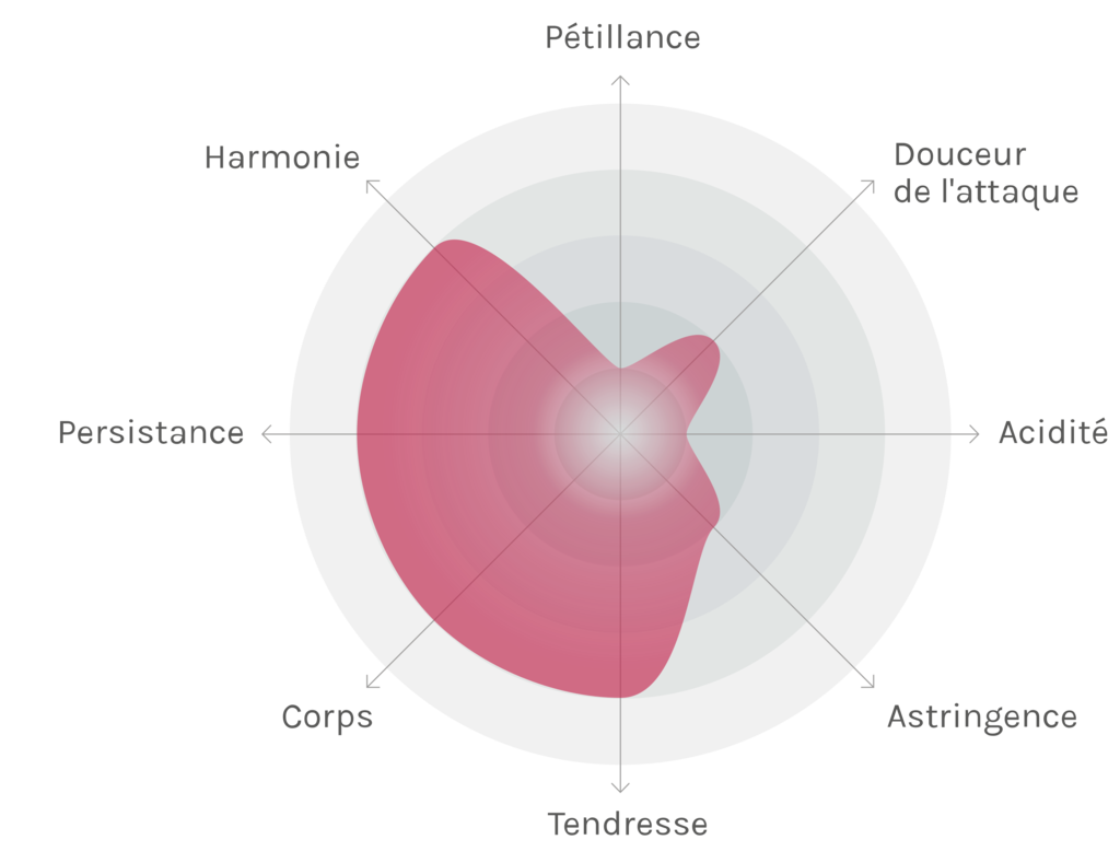 Spinnennetz-Chart