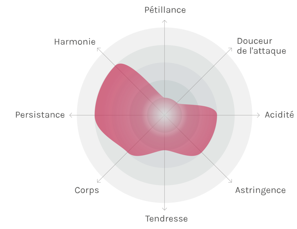 Spinnennetz-Chart