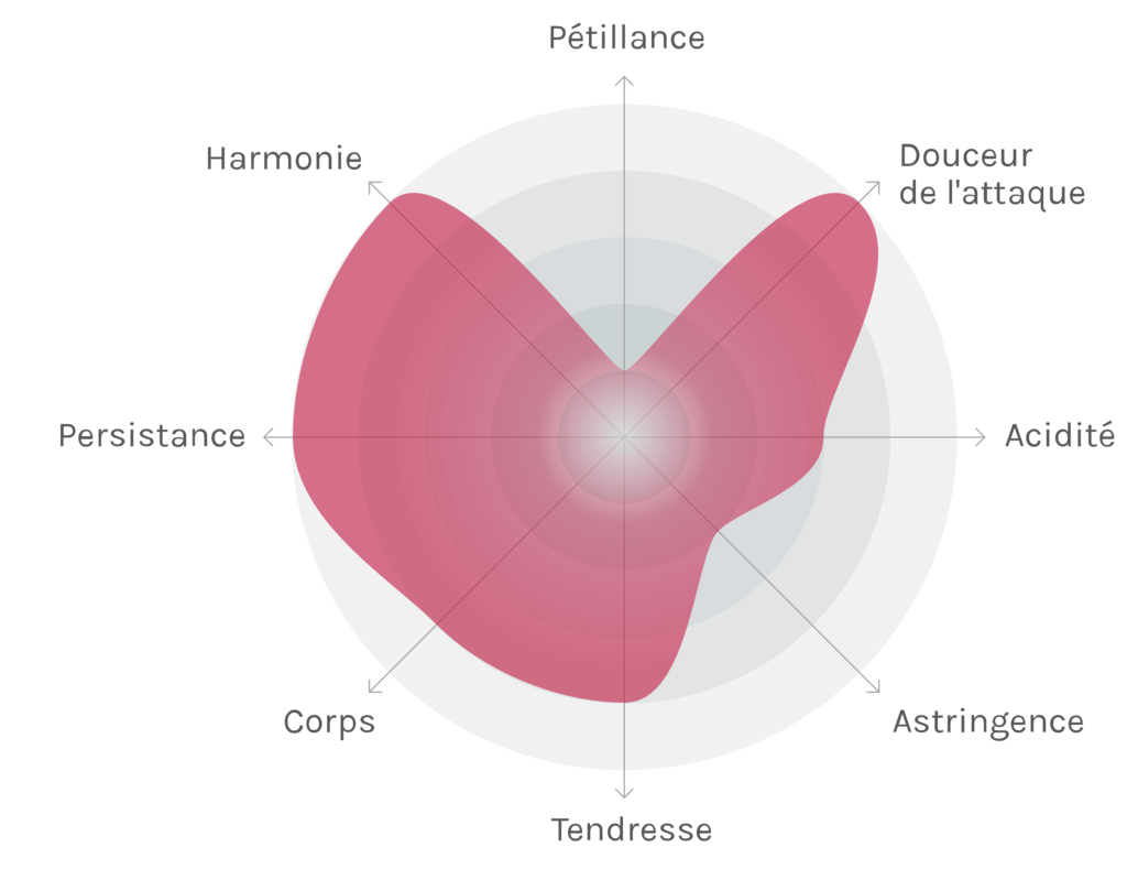 Spinnennetz-Chart