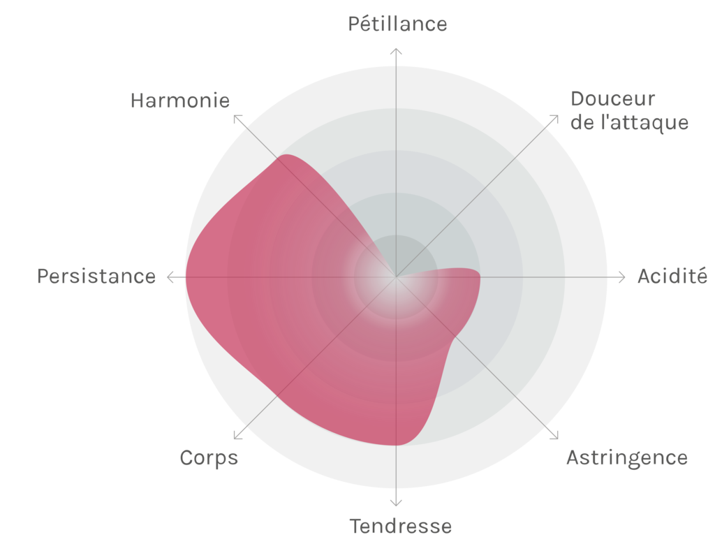 Spinnennetz-Chart