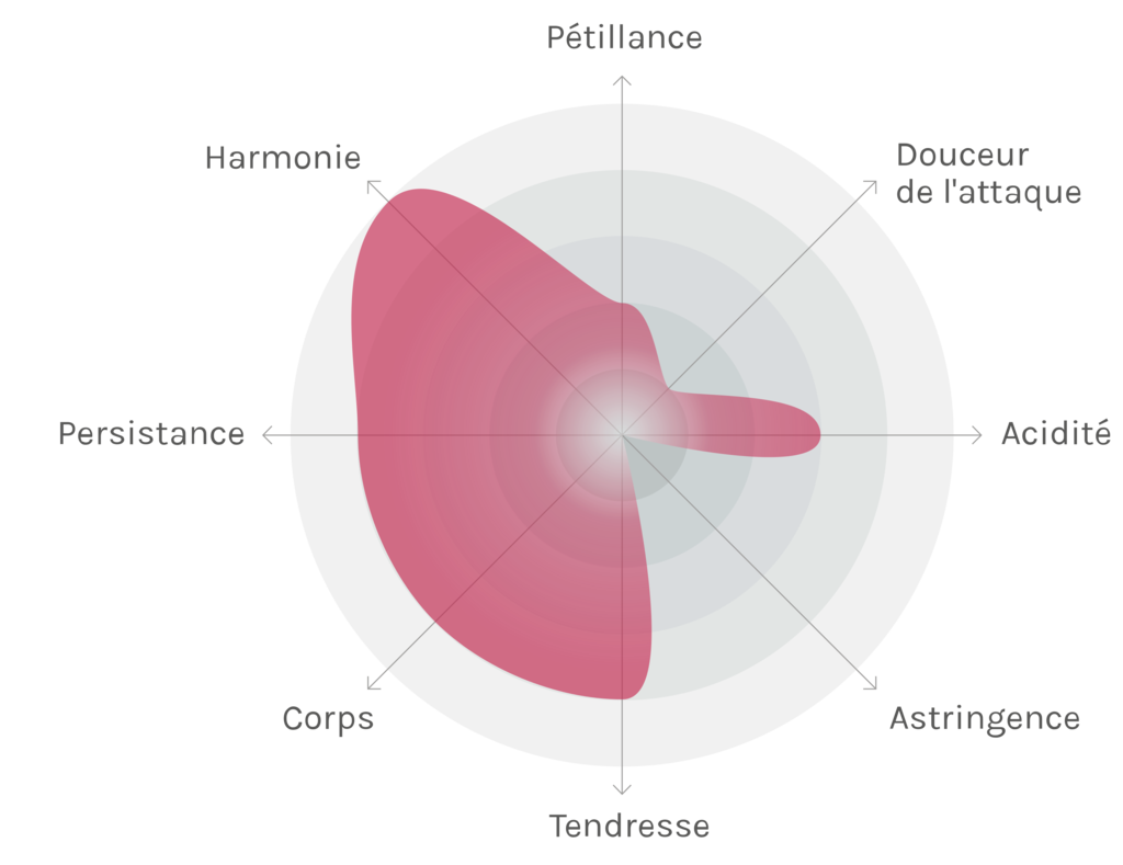 Spinnennetz-Chart