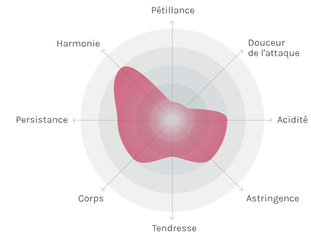 Spinnennetz-Chart