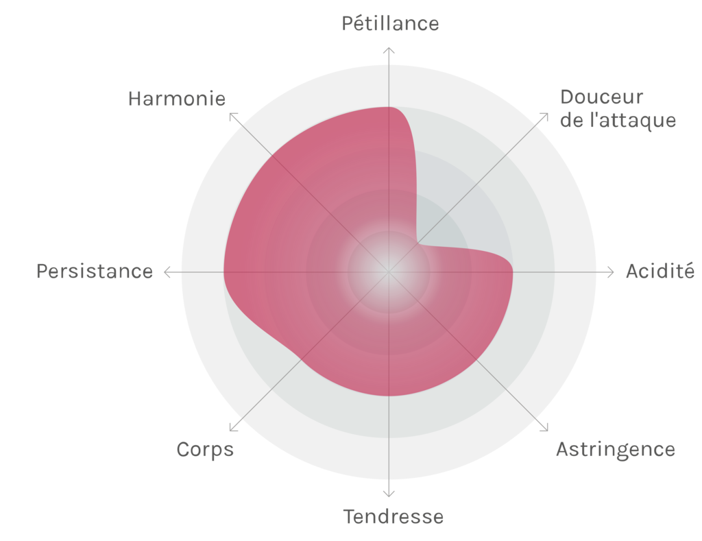 Spinnennetz-Chart