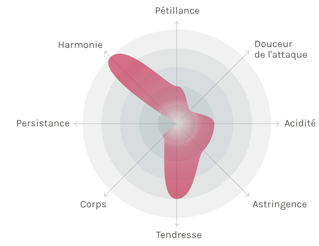 Spinnennetz-Chart