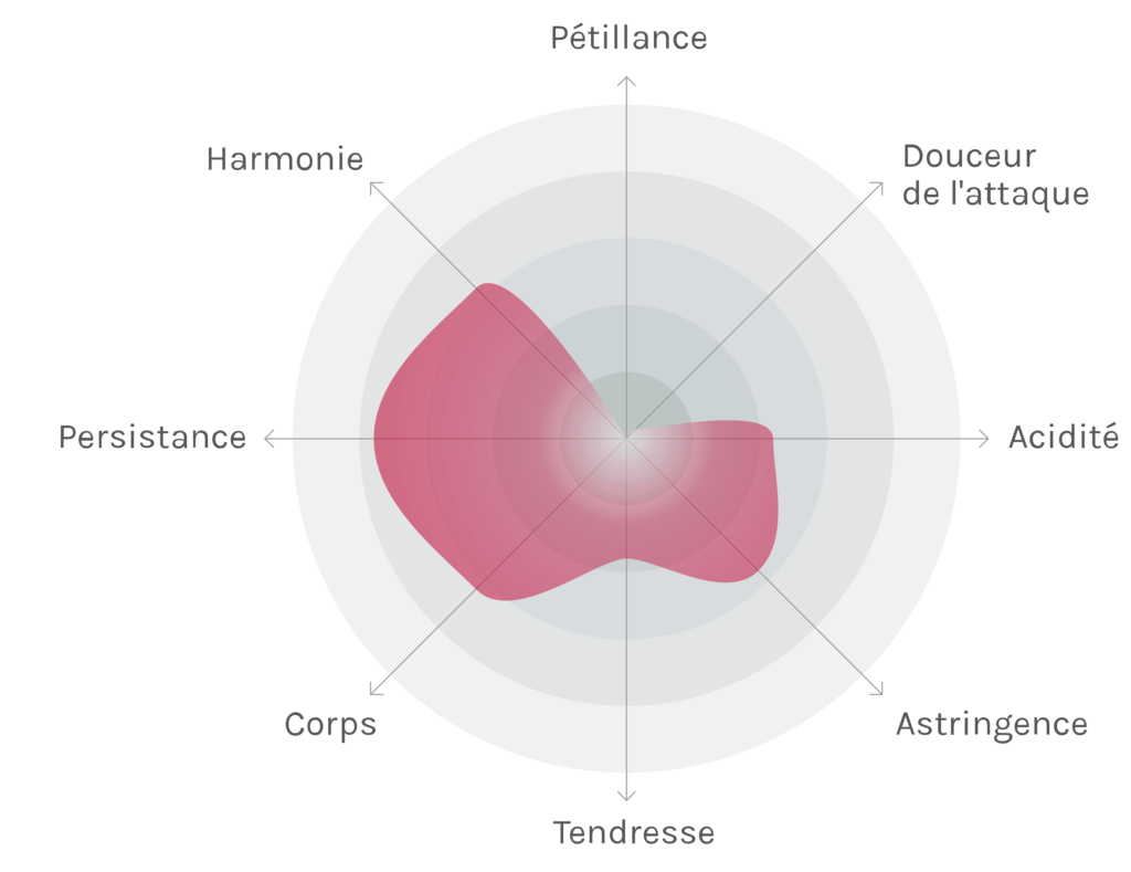 Spinnennetz-Chart