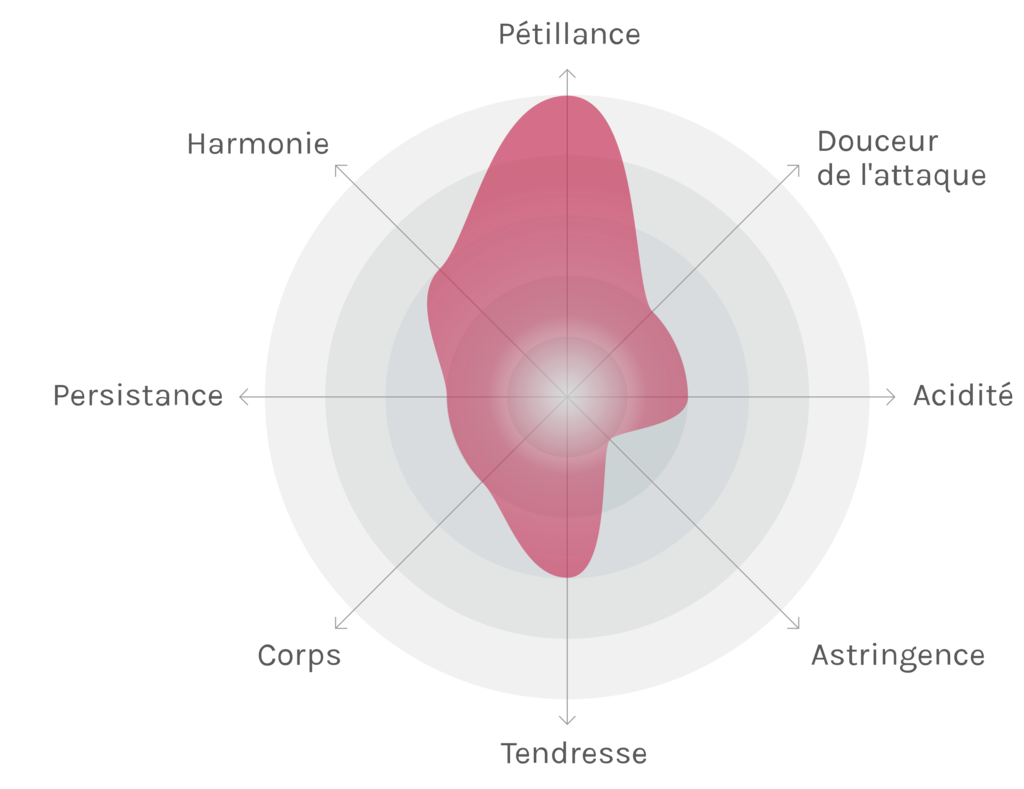 Spinnennetz-Chart