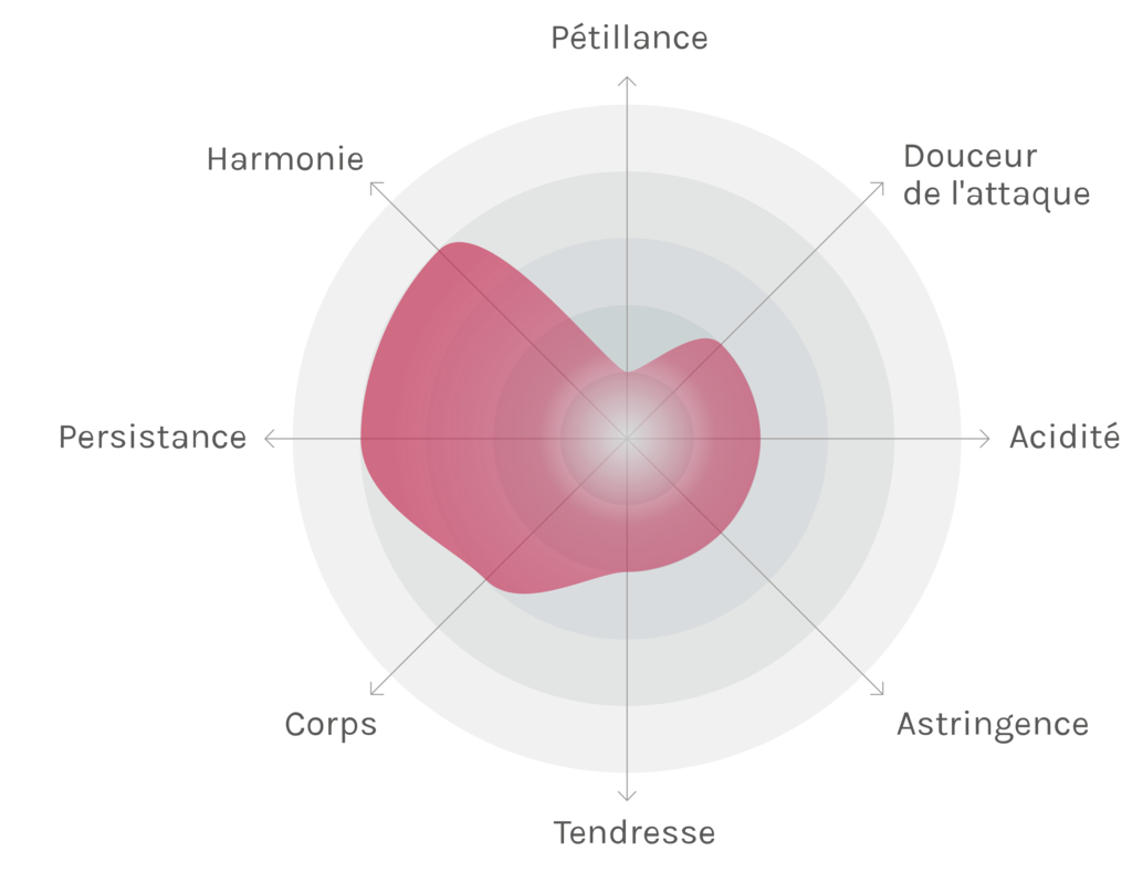 Spinnennetz-Chart