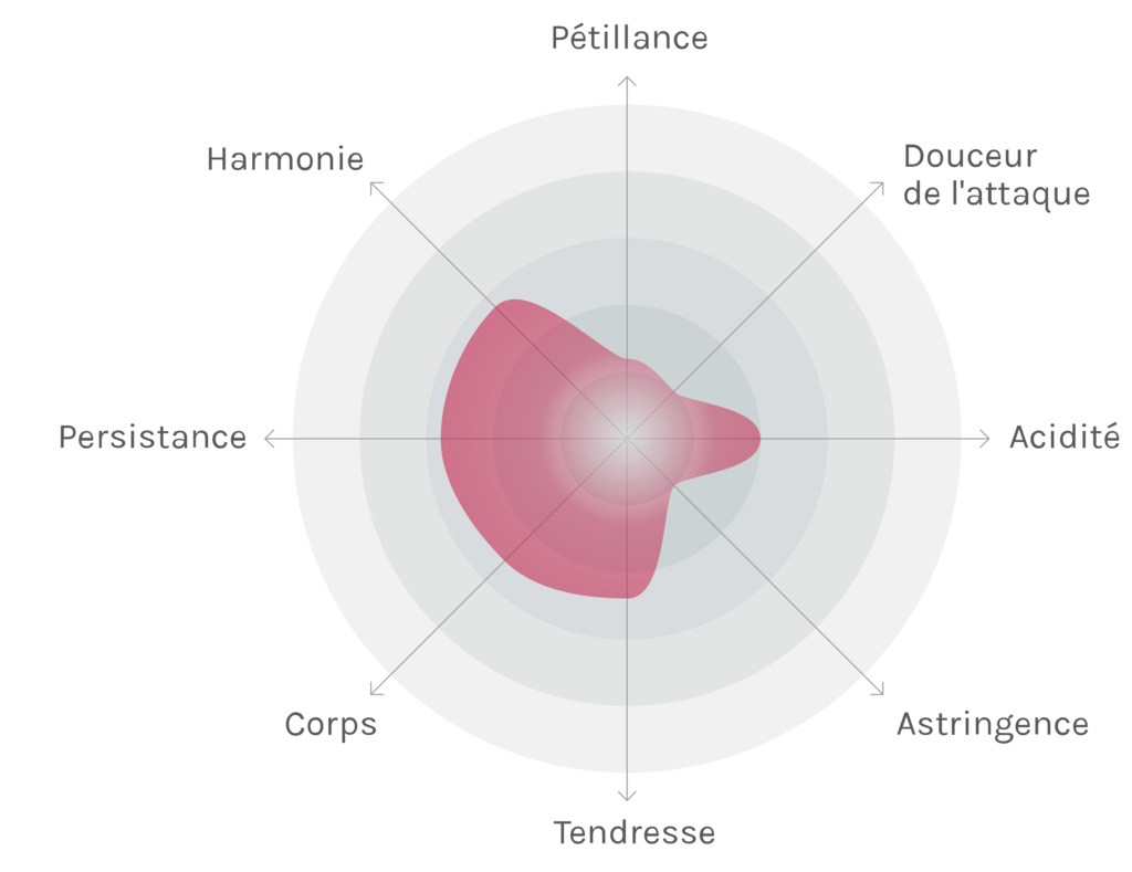 Spinnennetz-Chart