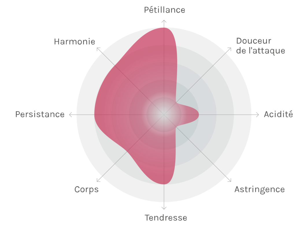 Spinnennetz-Chart