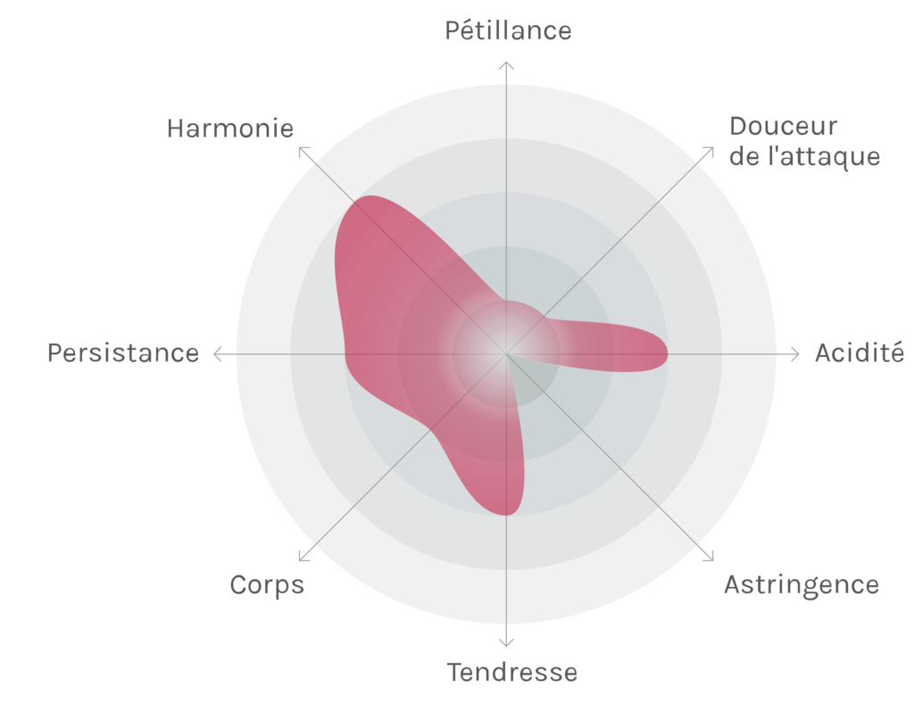 Spinnennetz-Chart