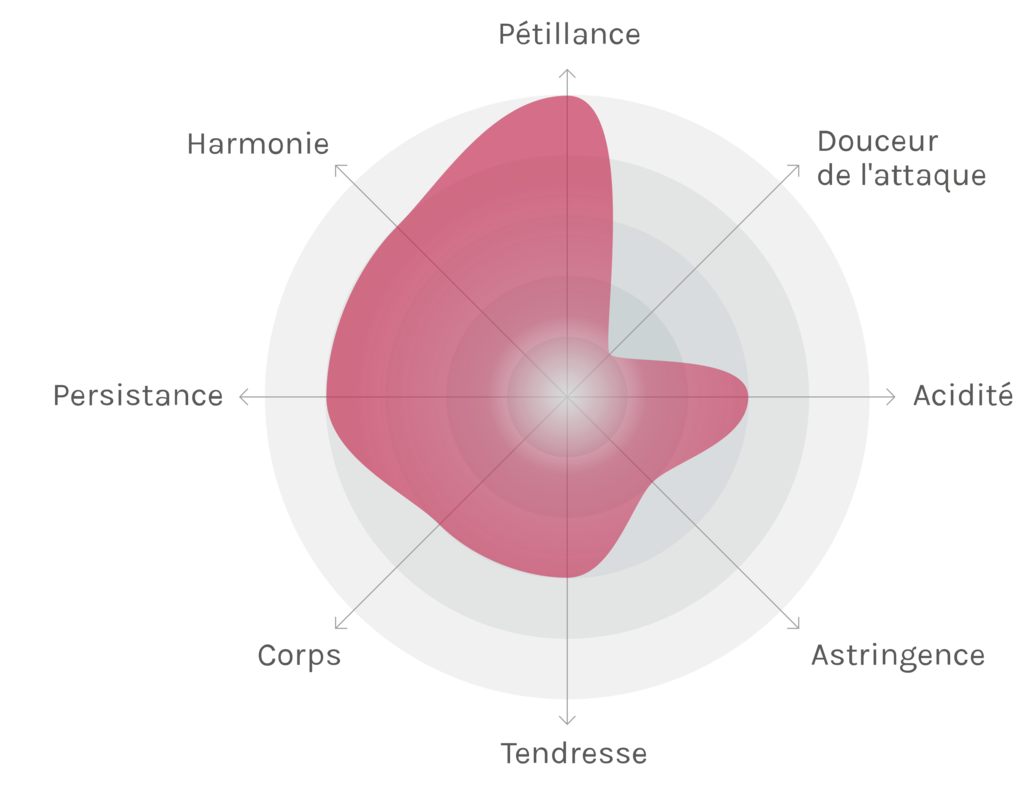 Spinnennetz-Chart