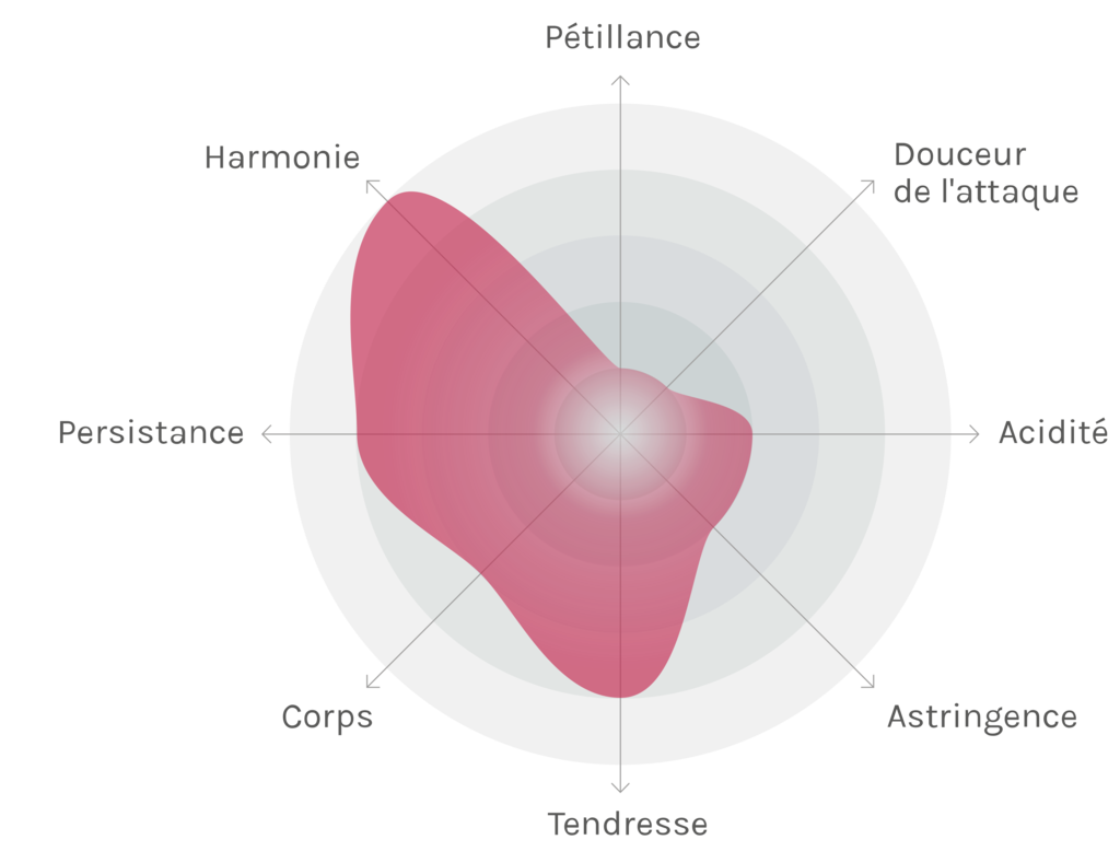 Spinnennetz-Chart