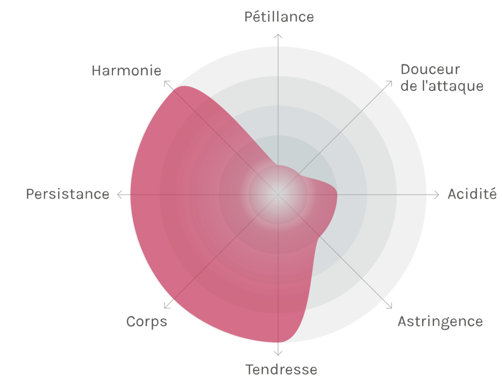 Spinnennetz-Chart