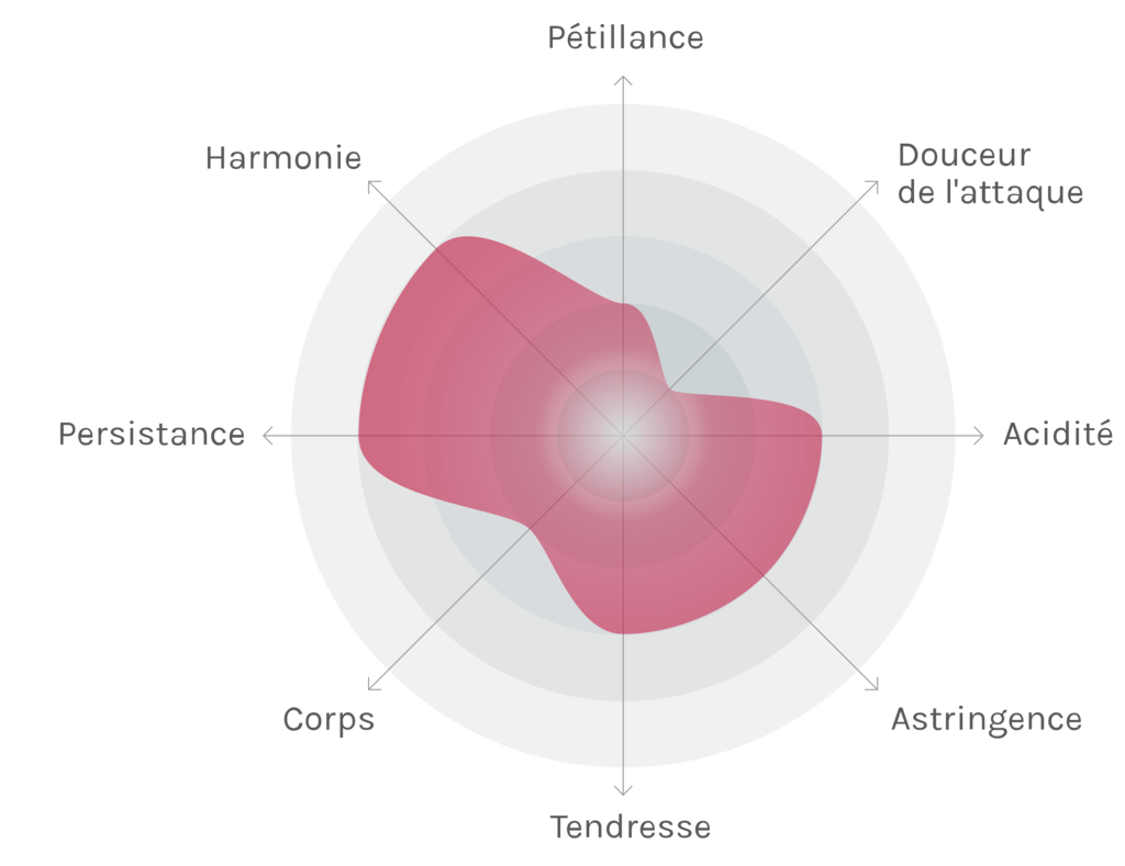 Spinnennetz-Chart