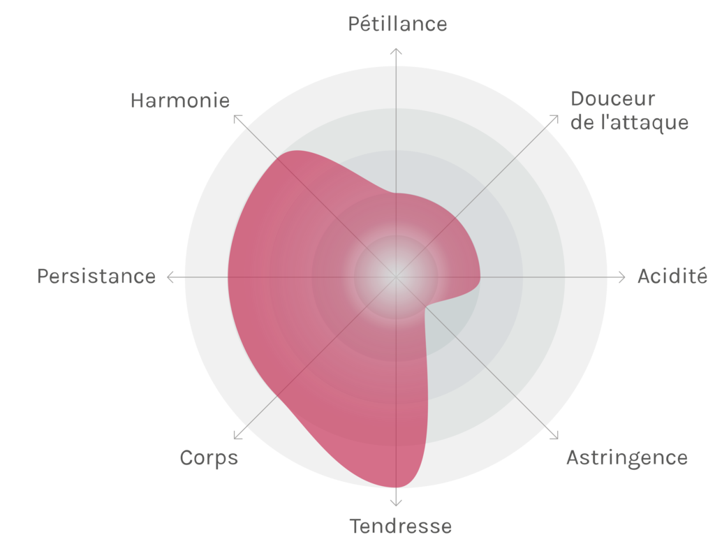 Spinnennetz-Chart