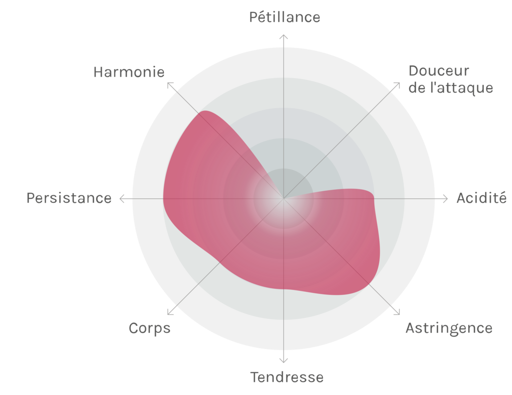 Spinnennetz-Chart